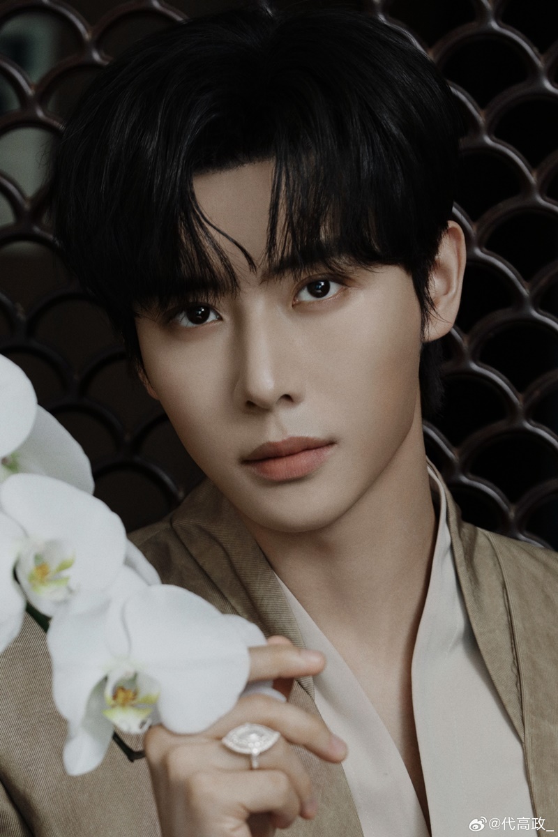 ไต้เกาเจิ้ง ประวัติ Dai Gao Zheng