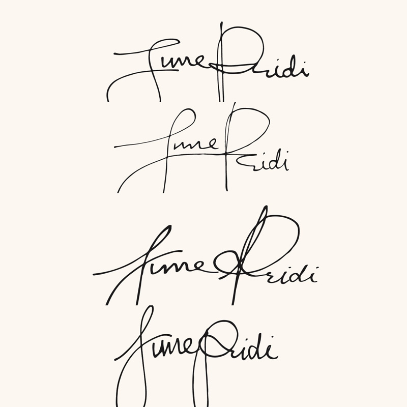 งานแต่ง จูนจูน พัชชา