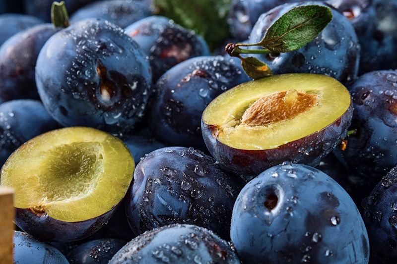 ลูกพรุน