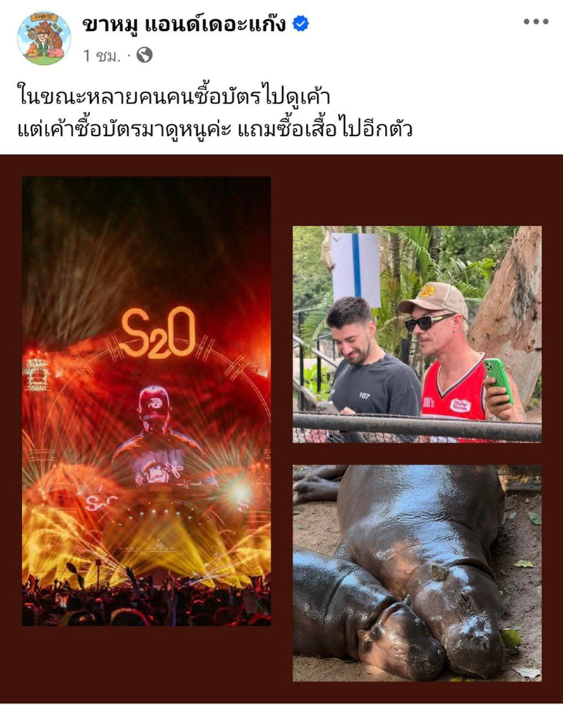 หมูเด้ง ยังฮอตไม่หยุด
