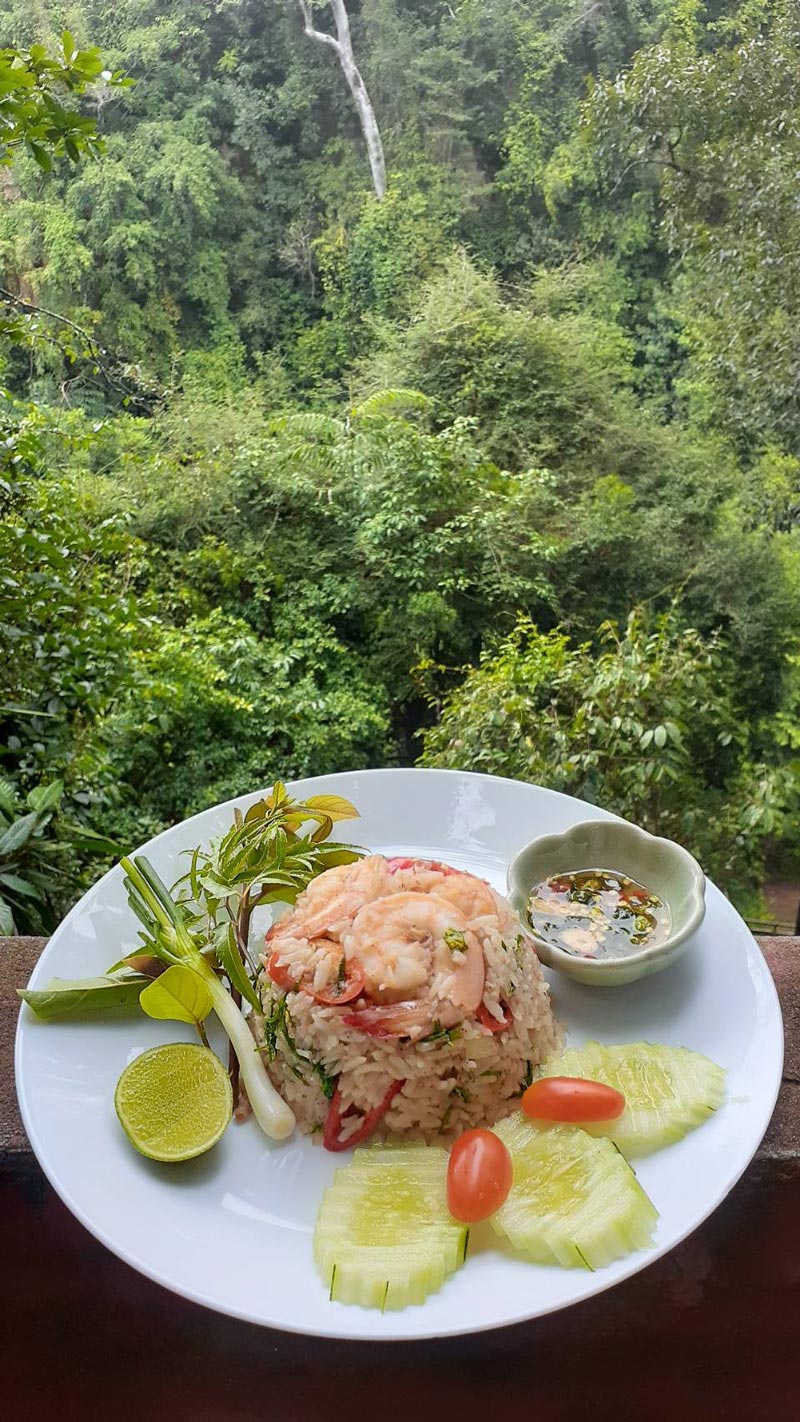 คาเฟ่ในสวนยาง