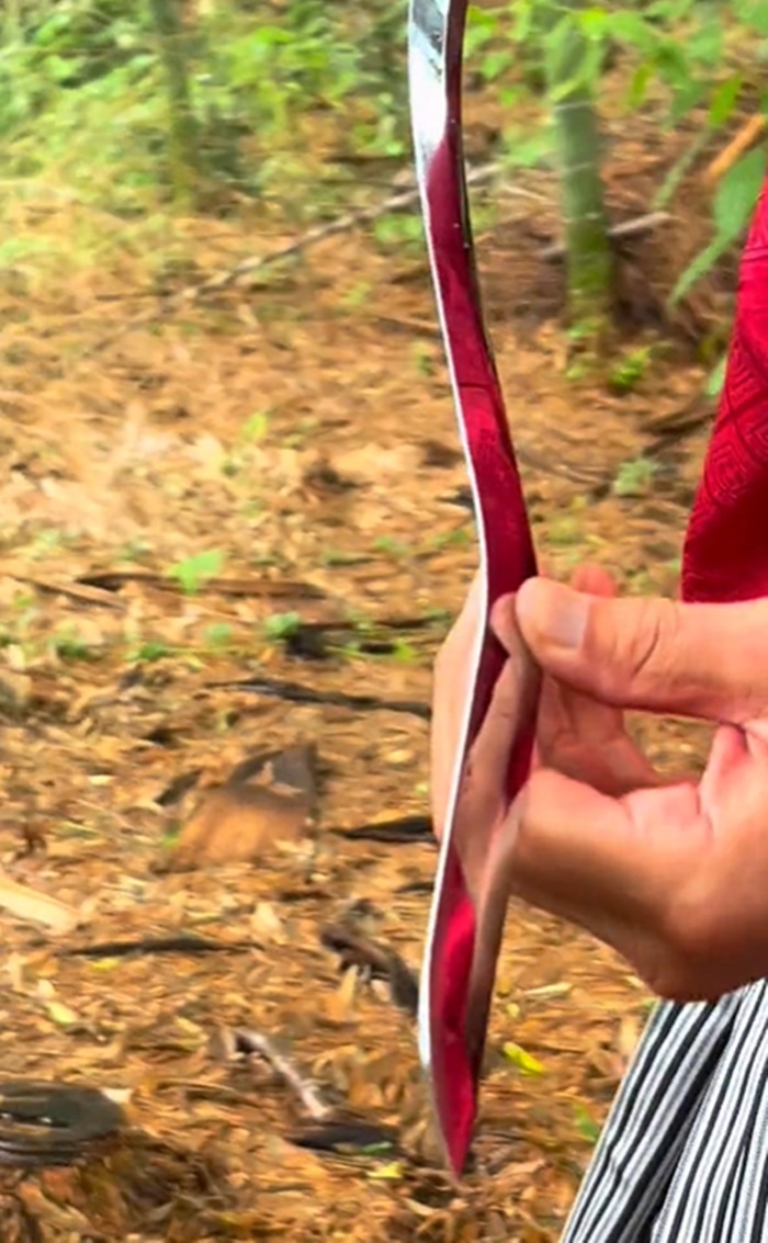 ดาบคาตานะ