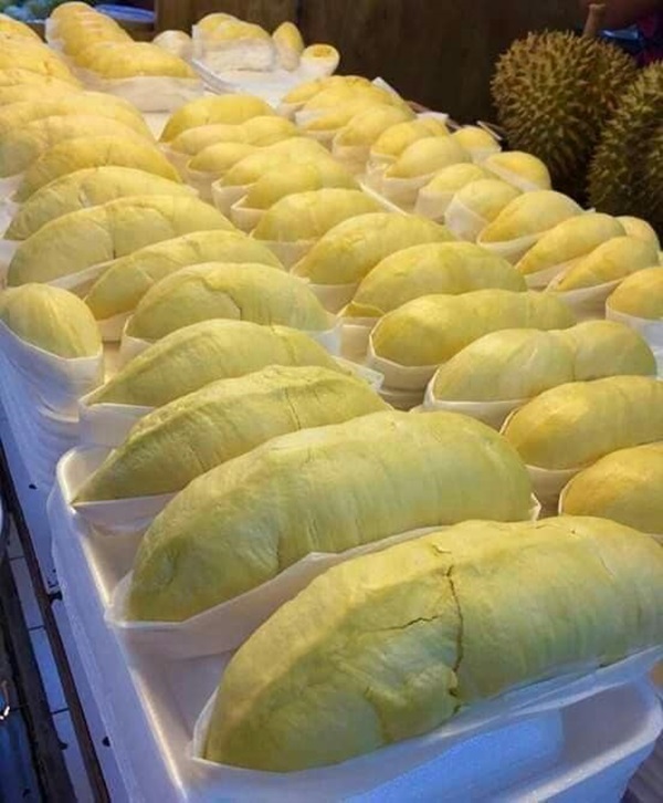 ทัตพงศ์ พงศทัต