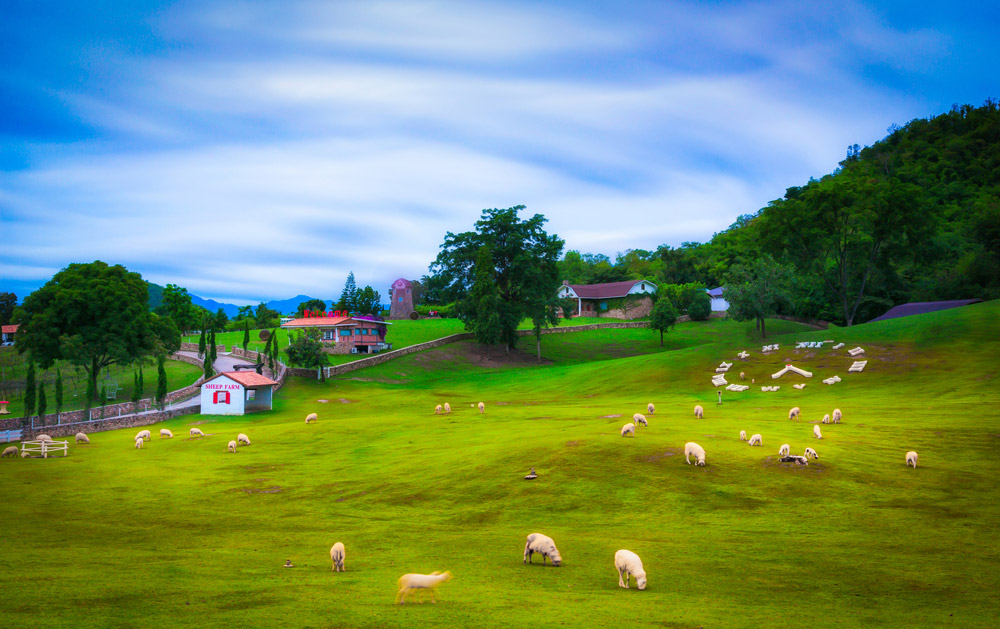 ที่เที่ยวเดือนมกราคม