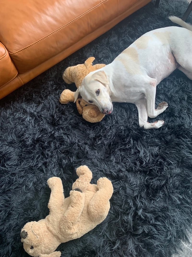 น้องดิ๊กกี้