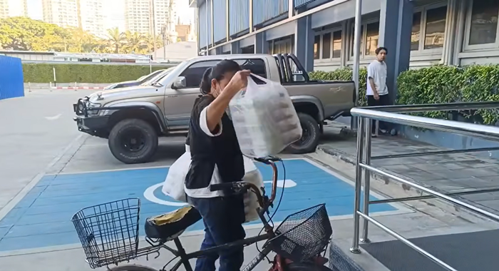 นานา ไรบีนา