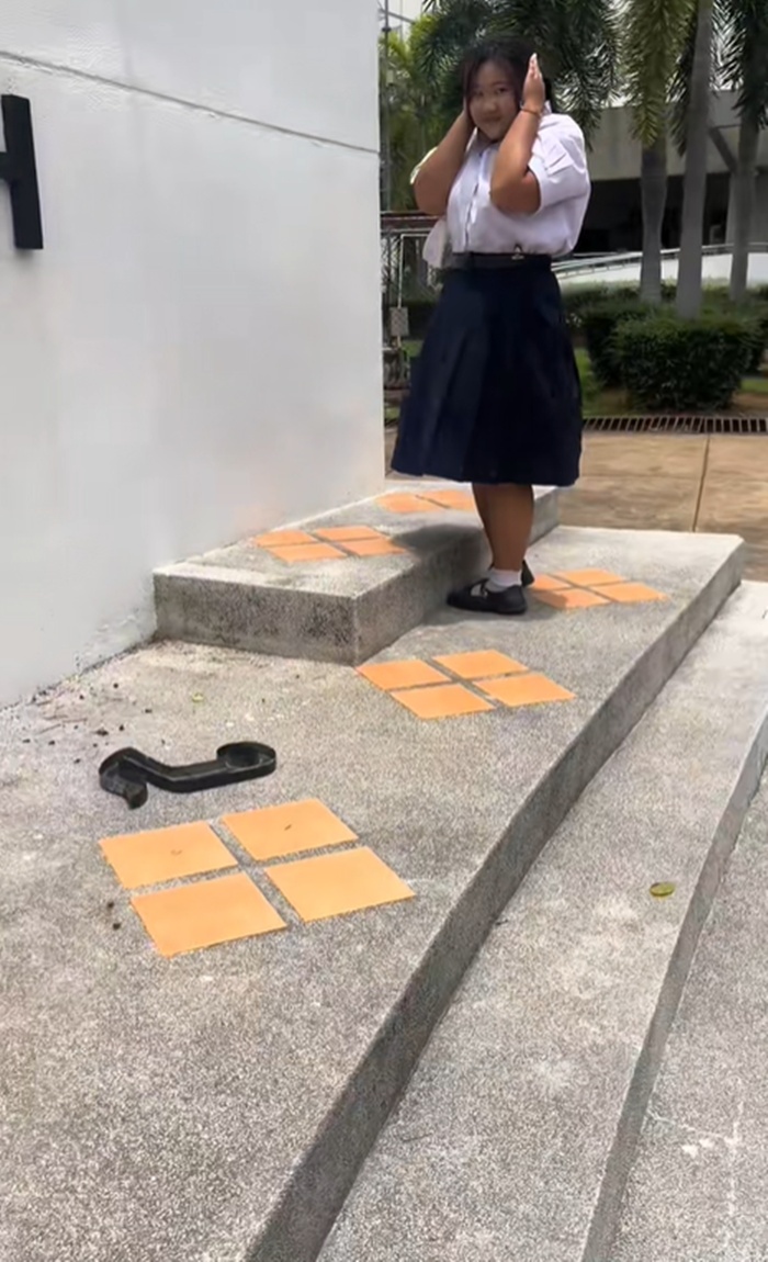 นักเรียน