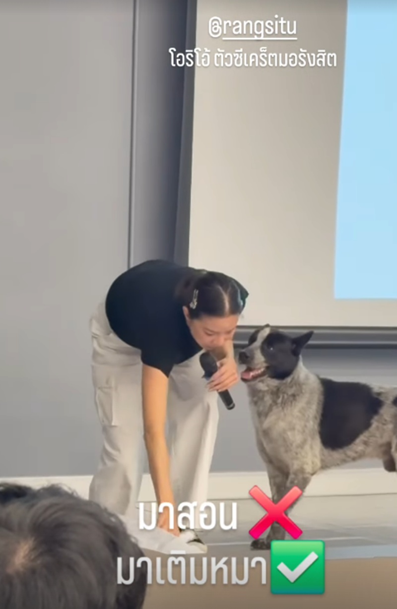 คริส หอวัง