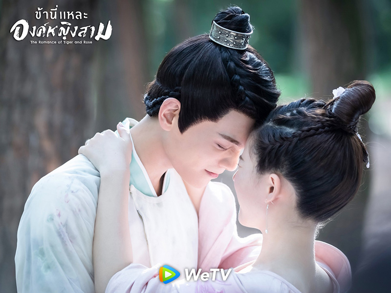 ติงอวี่ซี จ้าวลู่ซือ ซีรีส์จีน ข้านี่แหละองค์หญิงสาม