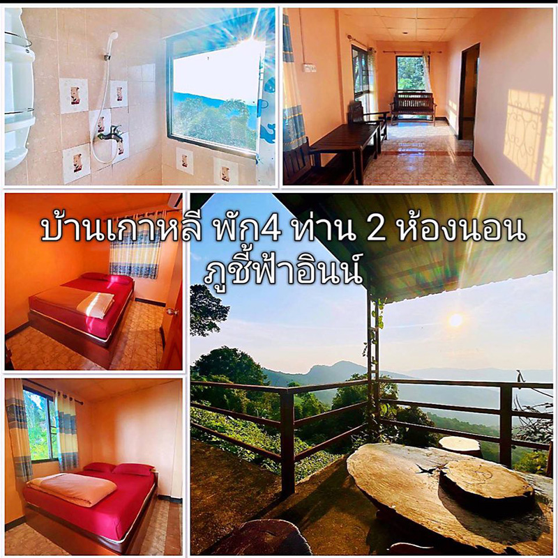 ที่พักภูชี้ฟ้า