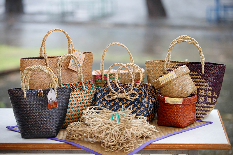 โรงเรียน CONNEXT ED