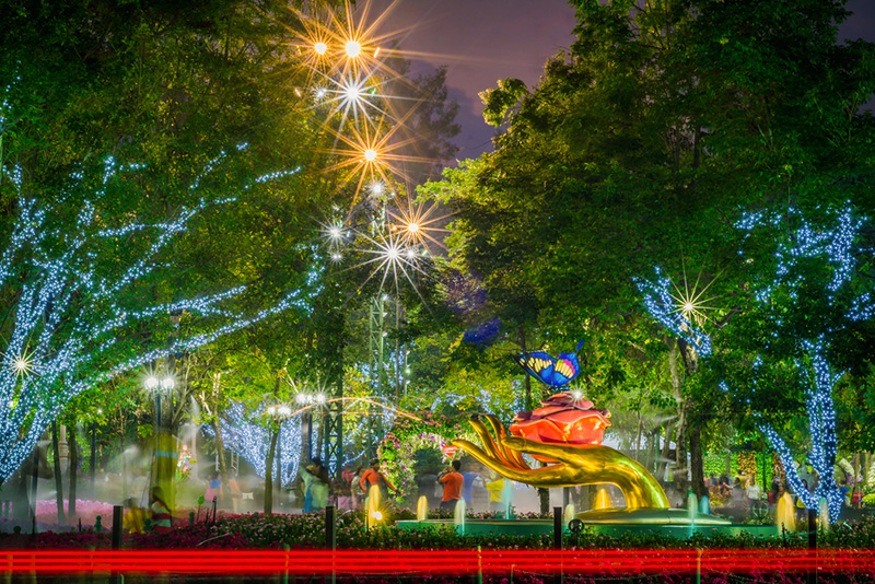 งานมหกรรมไม้ดอกอาเซียนเชียงราย 2025