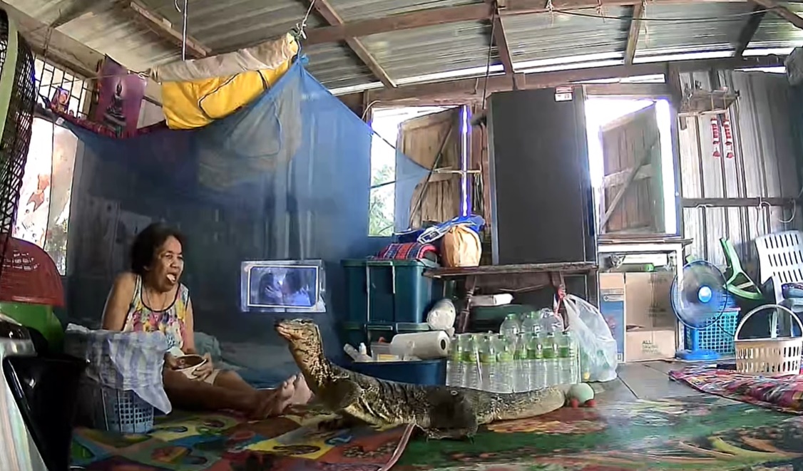 ตัวเงินตัวทอง