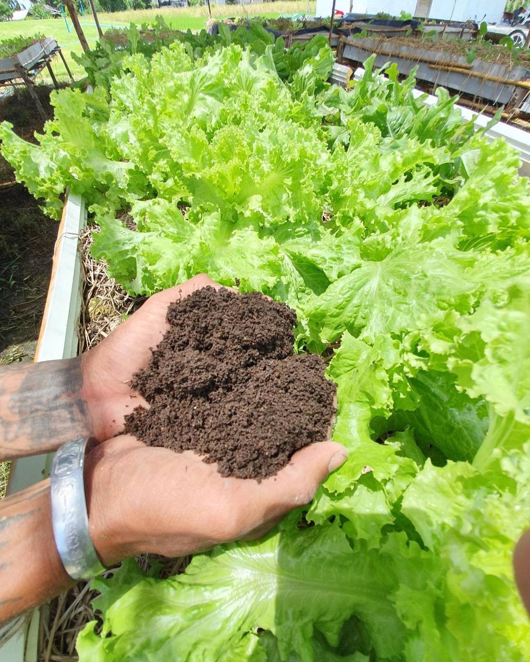 จตุรงค์ มกจ๊ก