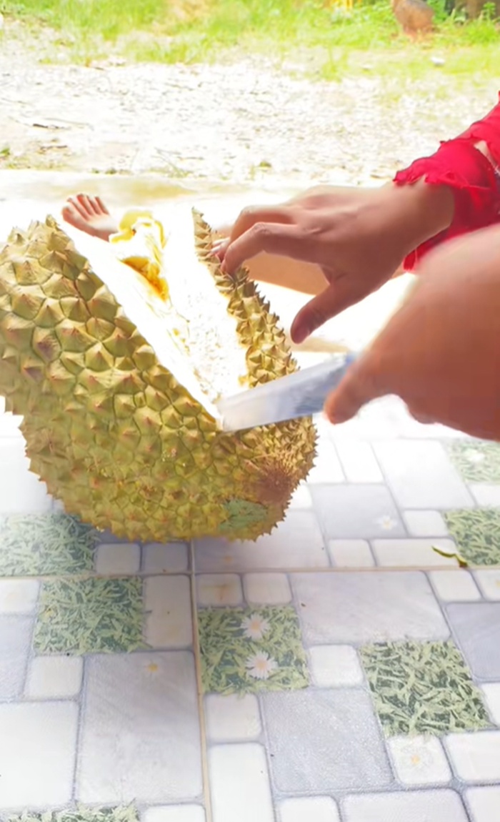 ทุเรียน