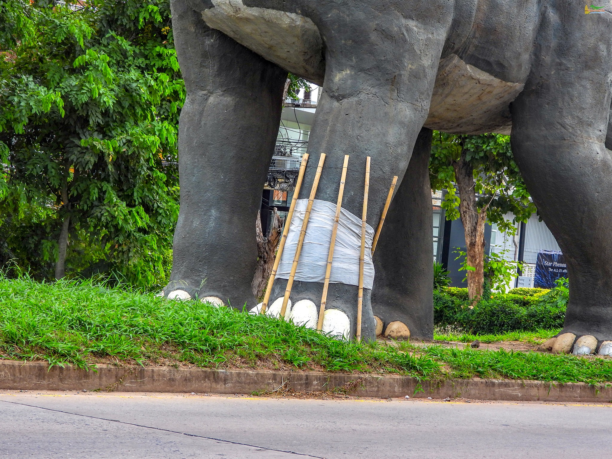 ไดโนเสาร์ขอนแก่น