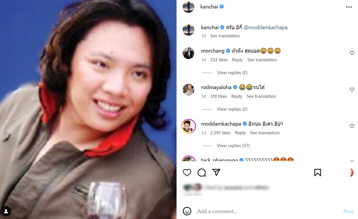 มดดำ คชาภา