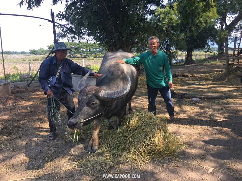 เที่ยวเชียงราย