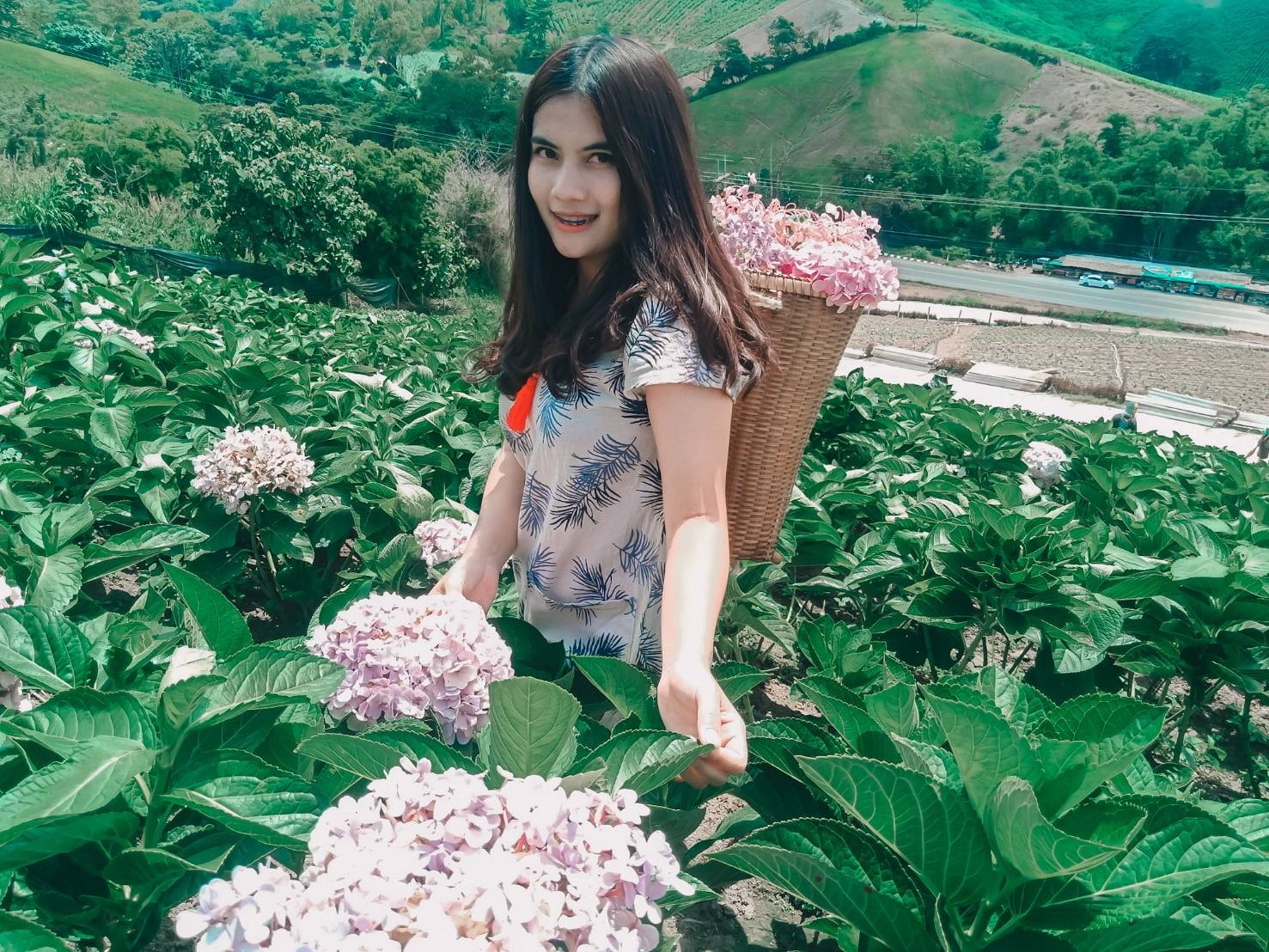 ร้านคาเฟ่เขาค้อ 2563