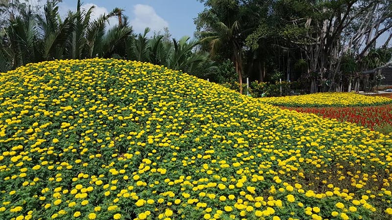 บางกะเจ้า