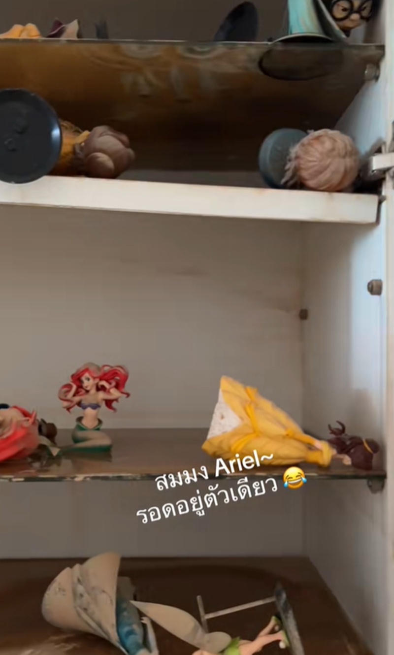 ของสะสม