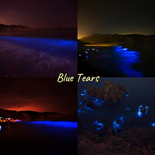 เที่ยวไต้หวัน