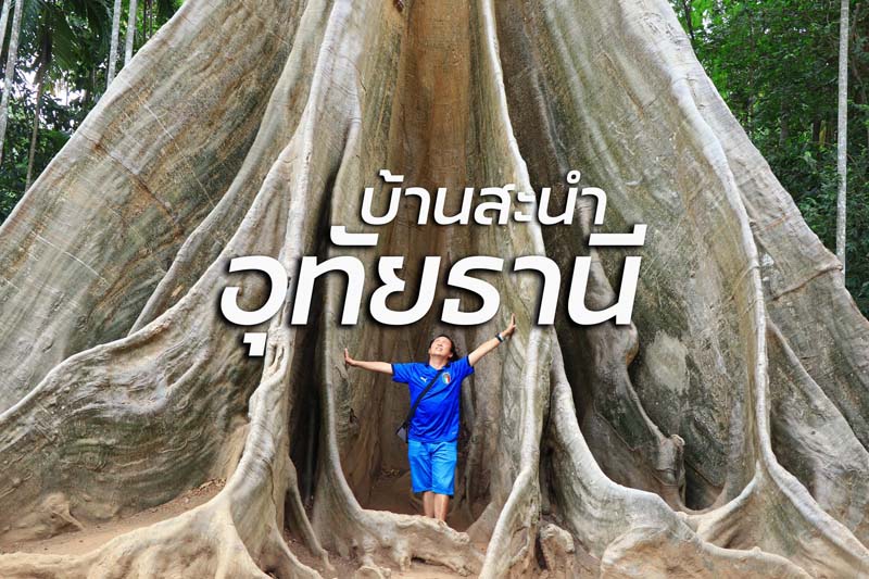 ต้นไม้ยักษ์ จังหวัดอุทัยธานี