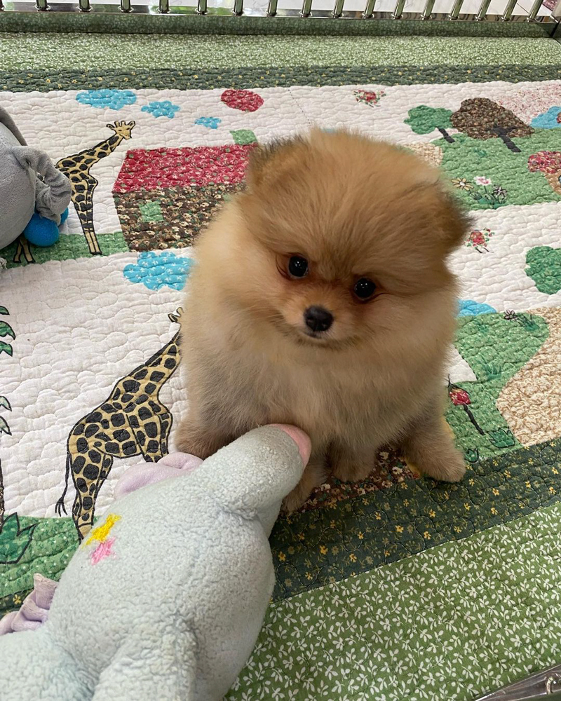 น้องณดา