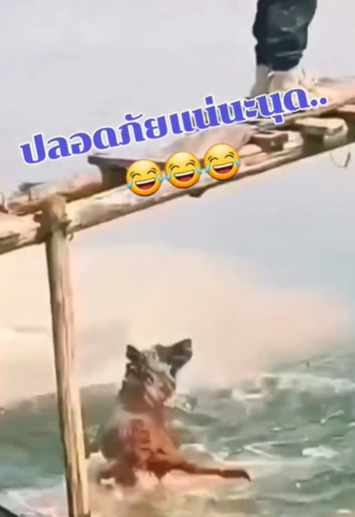 ข้ามสะพาน