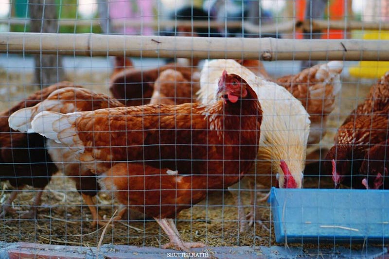 เที่ยวรังนกแลนด์ by นกแปดริ้ว จ.ฉะเชิงเทรา