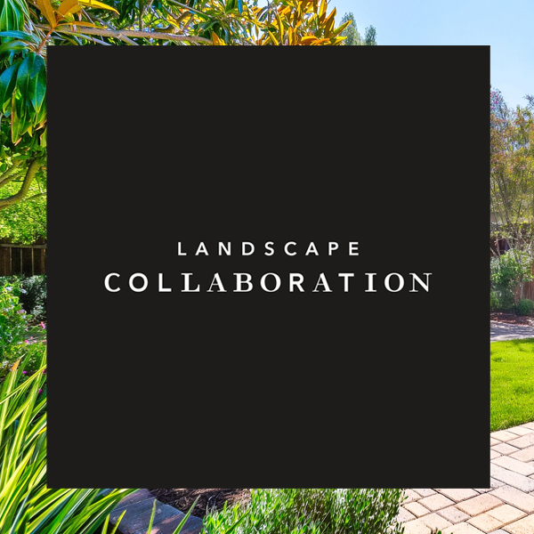 บริษัทรับจัดสวน Landscape Collaboration