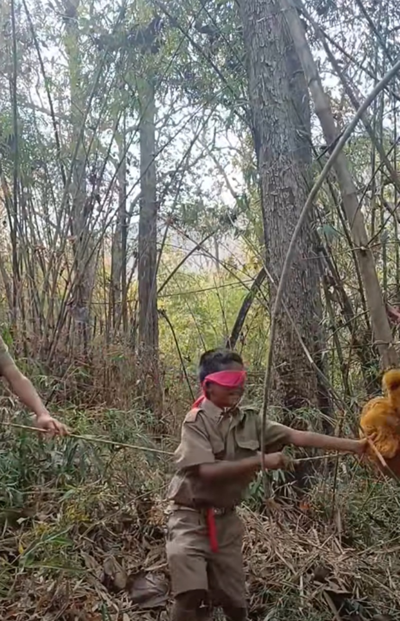 เดินป่า