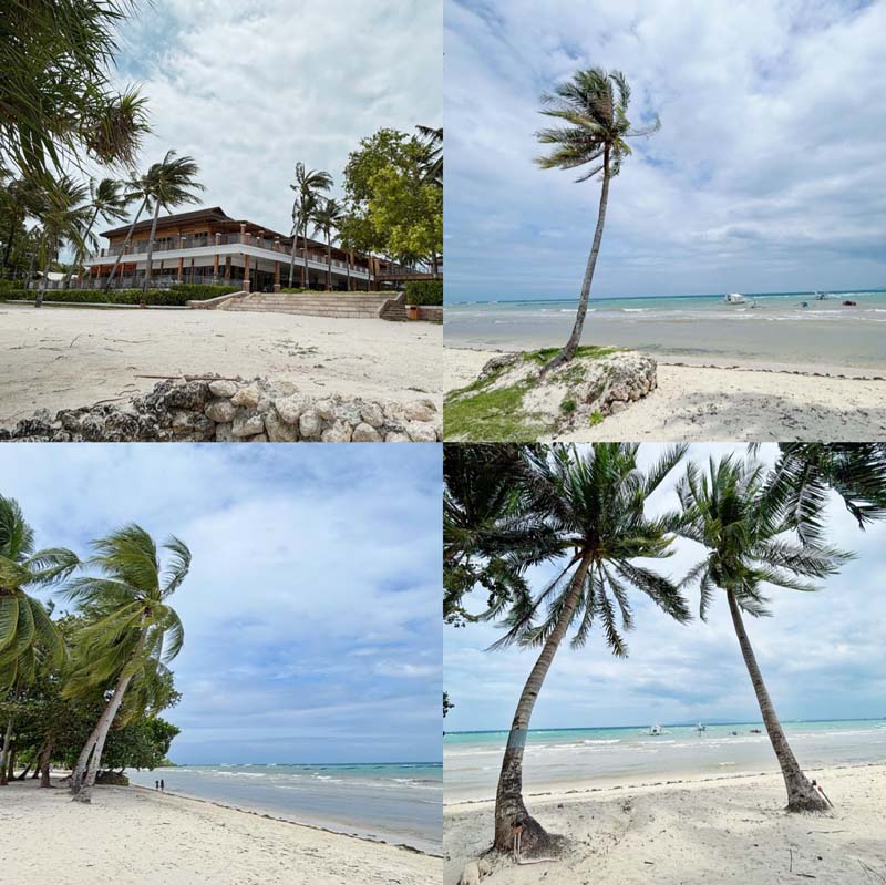 เที่ยวฟิลิปปินส์ เมือง Bohol กับ Panglao