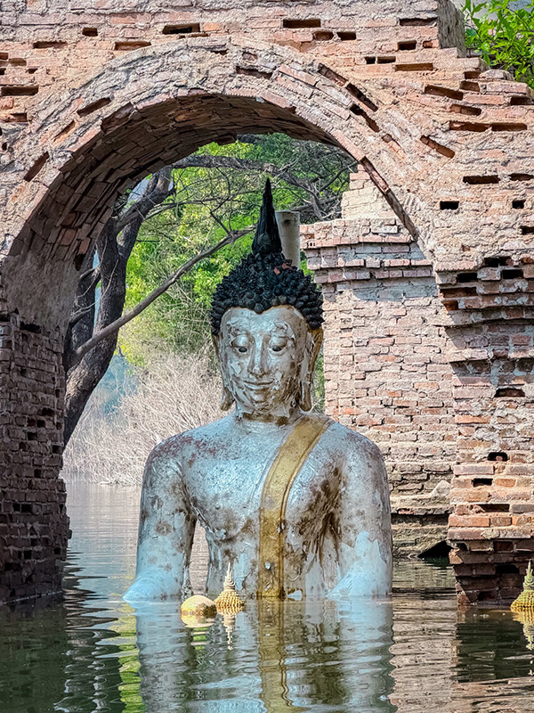 วัดบ้านเก่าจมน้ำ ชมต้นฉำฉากลางน้ำ ลำพูน