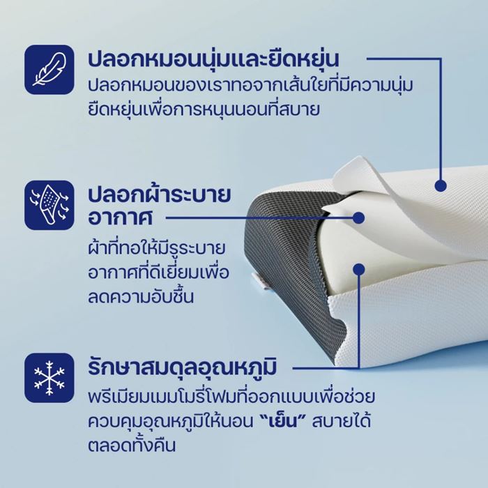 หมอนสุขภาพ Deep Sleep จาก ErgoLab