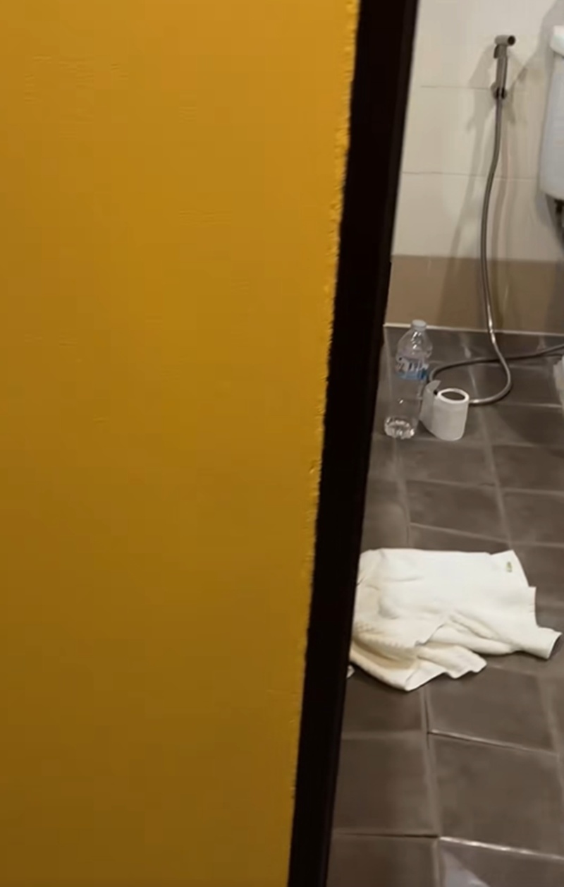 เจนิส เจณิสตา