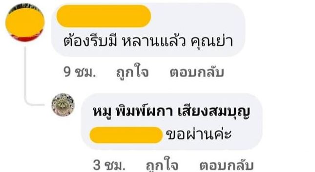 หมู พิมพ์ผก