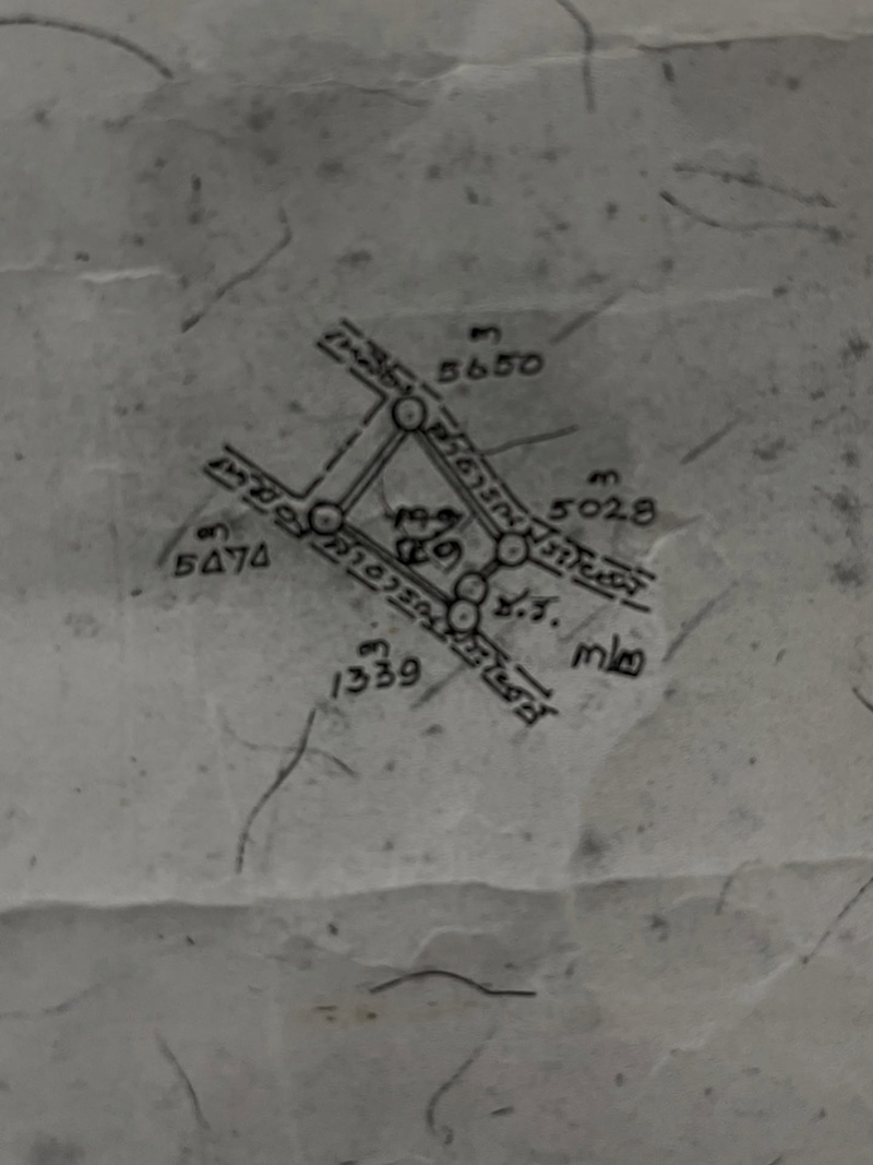 ซาร่า โฮเลอร์ ประกาศขายที่ดินเชียงใหม่