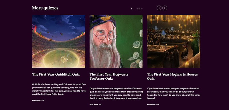 Harry Potter At Home