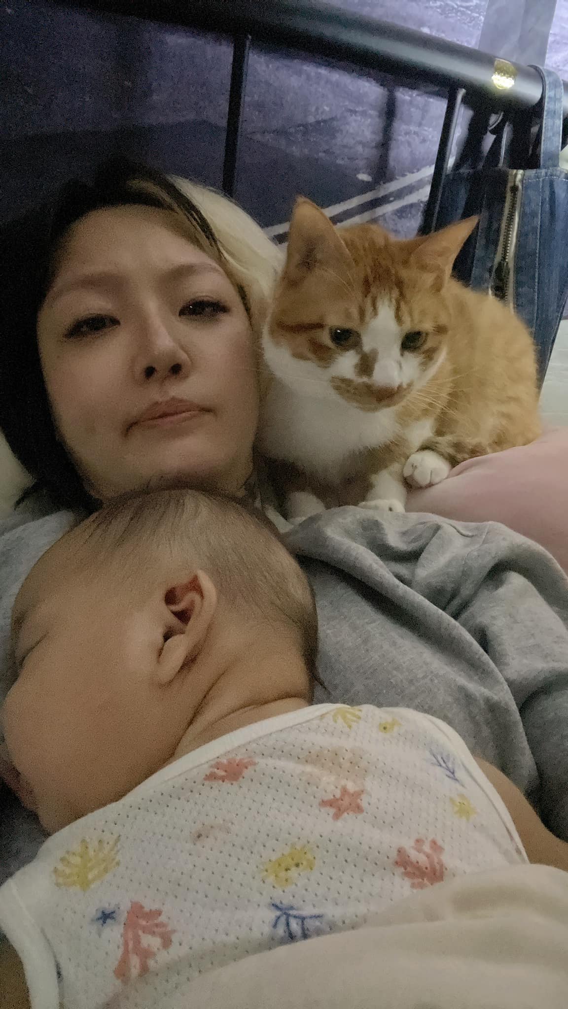 เลี้ยงลูกกับแมว