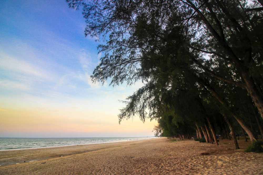 อุทยานแห่งชาติหาดวนกร ที่เที่ยวใหม่ ๆ
