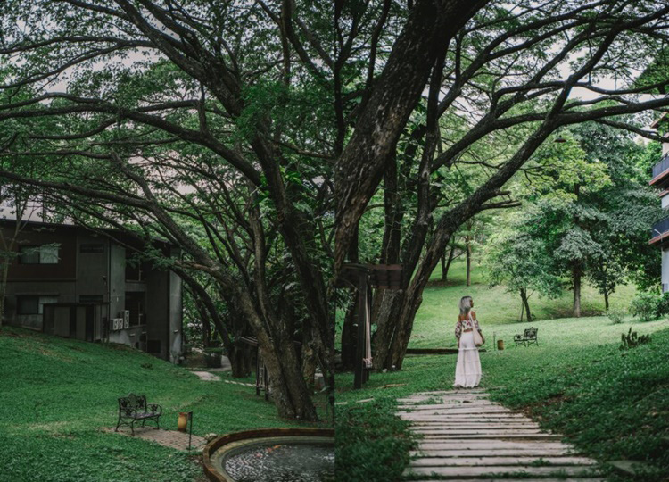 Raintree Residence Hotel เขาใหญ่