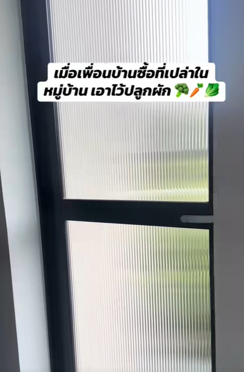 เพื่อนบ้าน