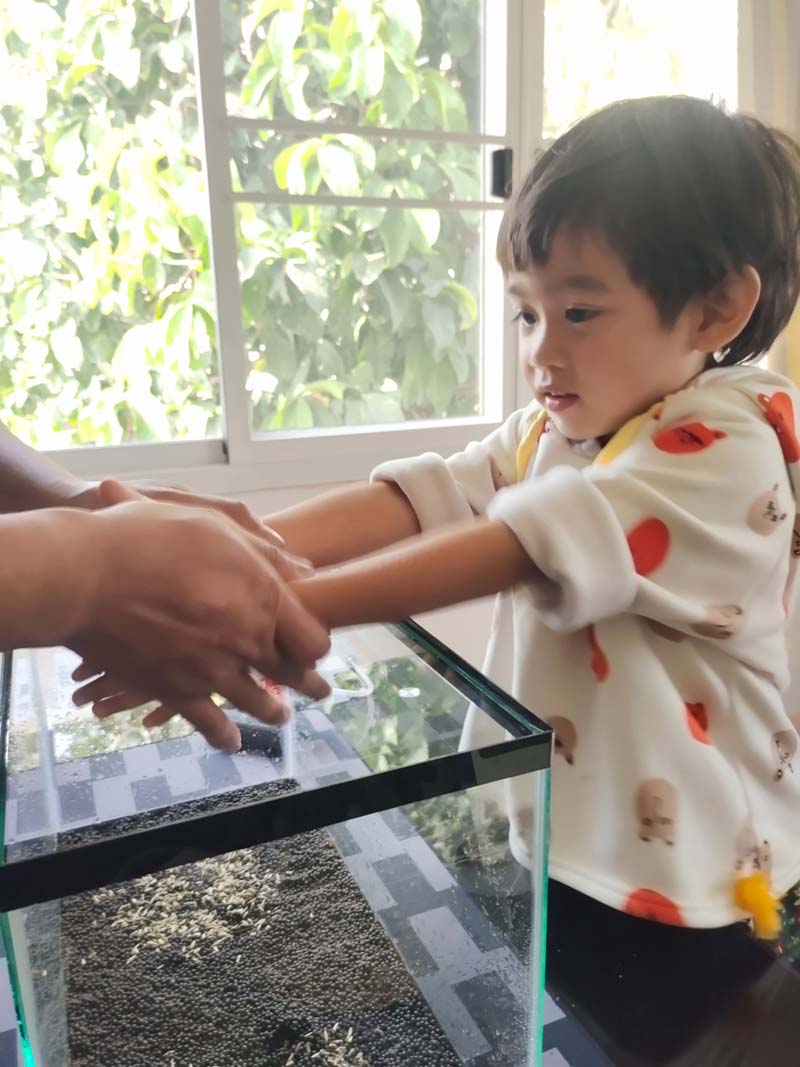 จัดตู้ปลาในราคาหลักร้อย