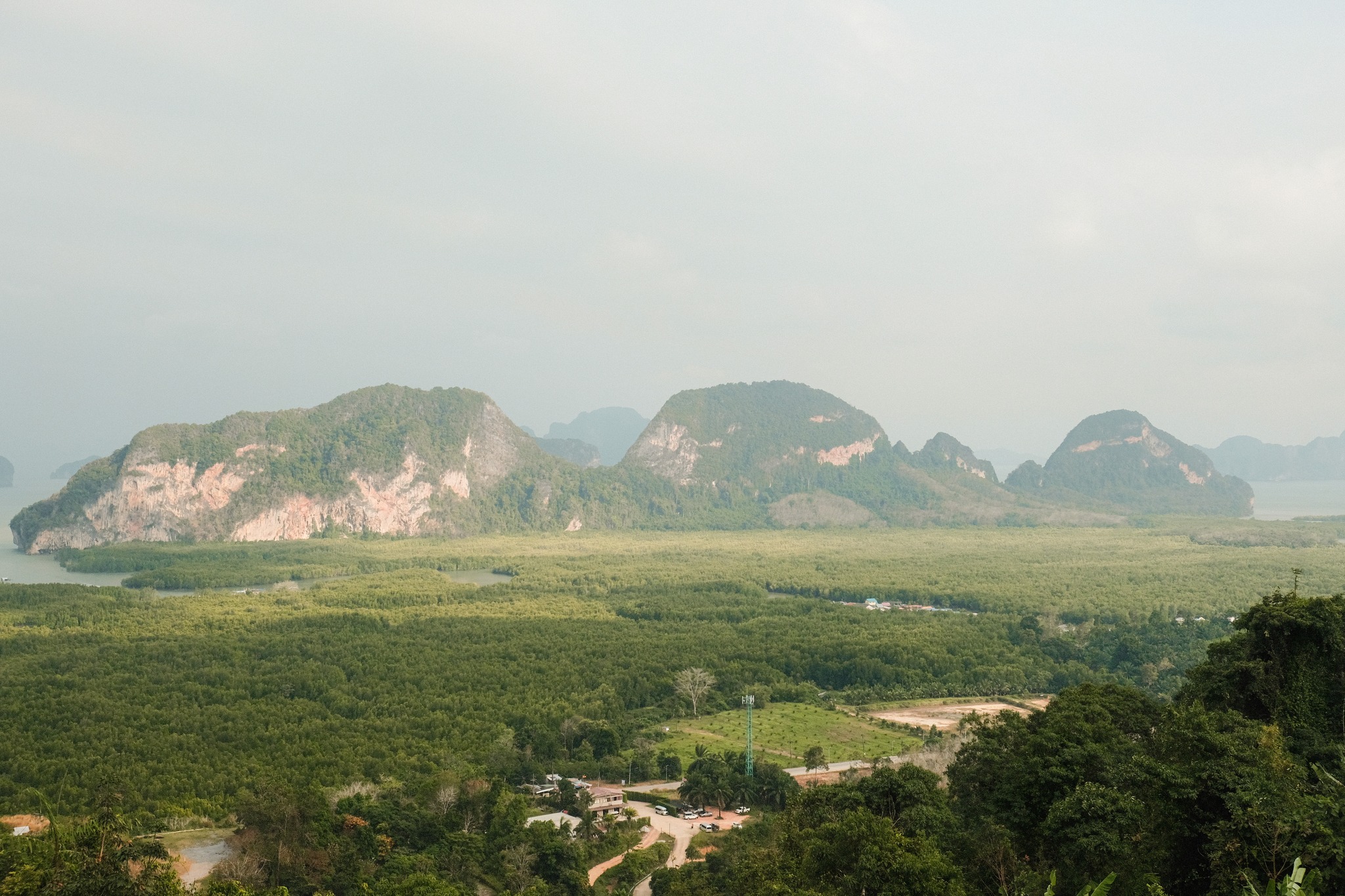 เสม็ดนางชี