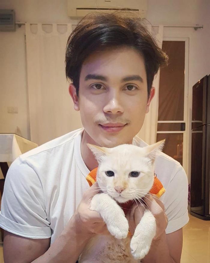 สัตว์เลี้ยงดารา