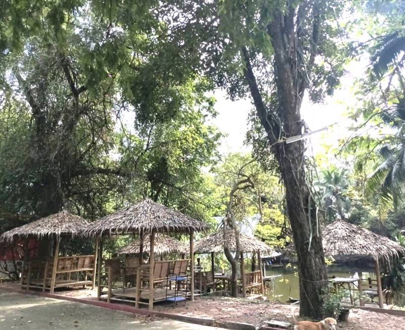 เทพ โพธิ์งาม 