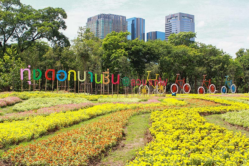 ทุ่งดอกบานชื่น สวนรถไฟ