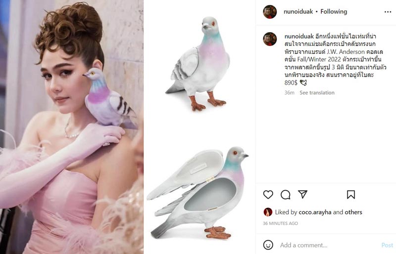 ชมพู่ อารยา