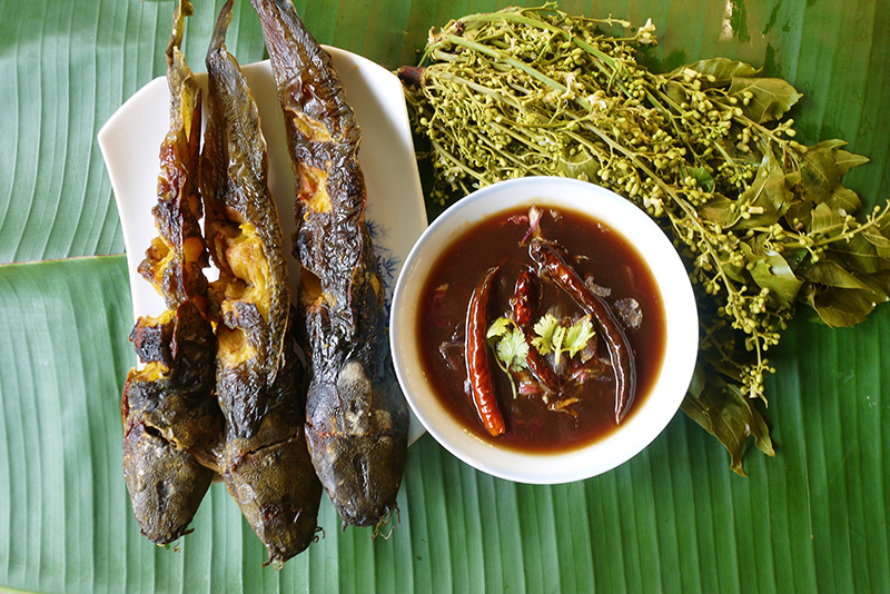 สูตรสะเดาดอง